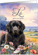 Encouragement Newfoundland Dog in a Field of Wildflowers card