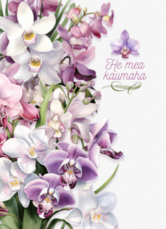 Sympathy Orchids in Purple with Hawaiian Message