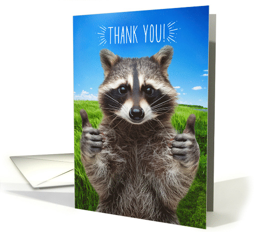 Thank You Cute Thumbs Up Raccoon card (1984114)
