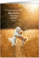 from Both of Us Congratulations Cute Dogs Celebratory Hug