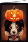Dog Halloween with Border Collie Jack O Lantern card