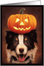 Dog Halloween with Border Collie Jack O Lantern Airbrush Style card