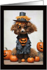 Dog Halloween with Toy Poodle in Scarecrow Costume card