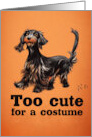 Dog Halloween with Wirehaired Dachshund Too Cute for a Costume card