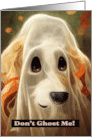 Dog Halloween Don’t Ghost the Golden Retriever card