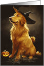 Dog Halloween with Golden Retriever Witch and Pumpkin card