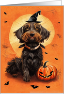 Dog Halloween with Wirehaired Dachshund in Witch Costume card