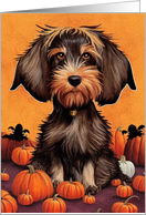 Dog Halloween with Wirehaired Dachshund in Pumpkin Patch card