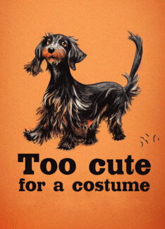 Dog Halloween with...
