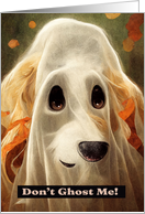 Dog Halloween Don't...