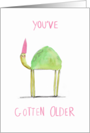 You’ve Gotten Older Tortoise in a Birthday Hat card