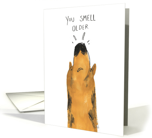 You Smell Older Alsatian Dog Birthday card (1748318)