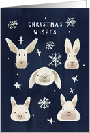 Bunny Stars and Snowflakes Christmas Wishes Greeting card
