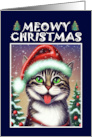 Christmas for Cat Lover Happy Cat with Santa Hat card