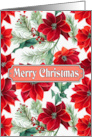 Christmas Poinsettia Flowers Mistletoe card