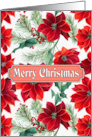 Christmas Poinsettia Flowers Mistletoe card