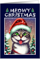 Christmas for Cat Lover Happy Cat with Santa Hat card