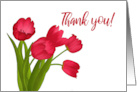 Say Thank you today with these Amazing Red Tulips card