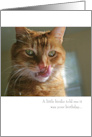 Funny Cat Birthday Card