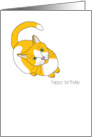 Funny Bossy Cat Birthday Card