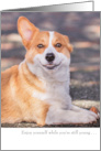 Funny Corgi Dog Birthday Card