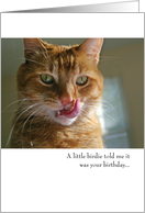 Funny Cat Birthday Card