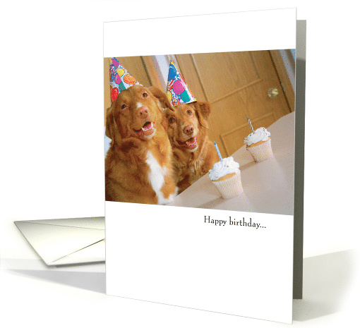 Funny Dog Birthday card (1761006)