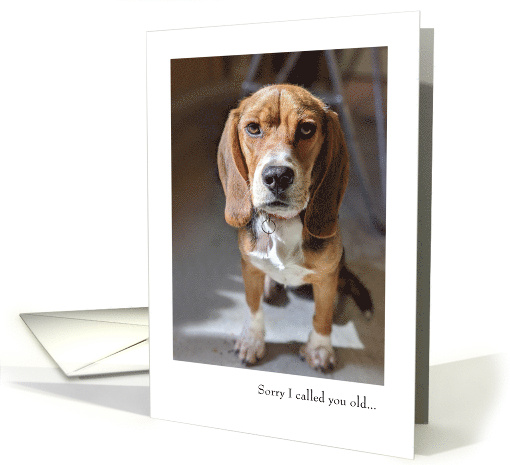 Funny Dog Birthday card (1761008)