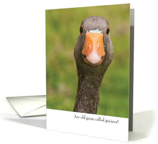 Funny Goose Birthday card (1761054)