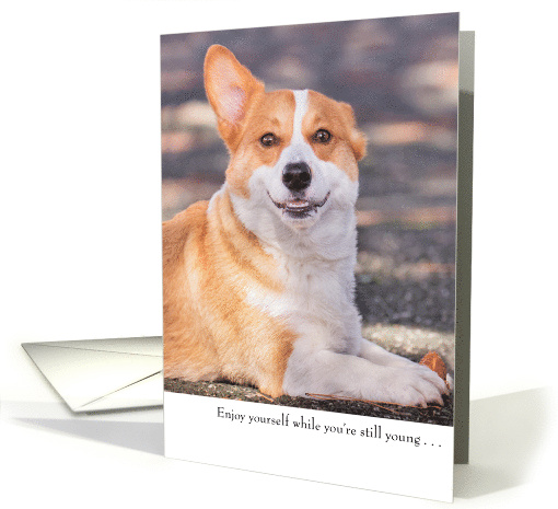Funny Corgi Dog Birthday card (1764084)
