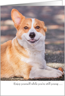 Funny Corgi Dog Birthday Card