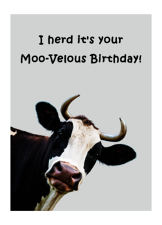 I herd It's your Moo...