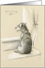 Missing You for Dog Lovers Loyal Pet Terrier Waiting for its Owner to Return card