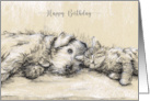 Birthday for an Animal Lover Cute Kitten and Dog Relaxing on Sofa Blank card