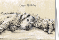 Birthday for an Animal Lover Cute Kitten and Dog Relaxing on Sofa Blank card