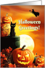 Halloween Greetings with Black Cat Witch and Jack O Lantern Pumpkins card