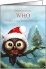Great Grandson Merry Christmas Holiday with Cute Owl Hugs and Kisses card