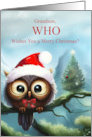 Grandson Christmas Holiday with Cute Owl and Xmas Tree Fun card