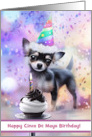 Cinco De Mayo Birthday May Fifth Cute Chihuahua Cupcake Custom card