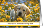 Get Well Feel Better Darling Yellow Labrador Puppy Custom Cover Text card
