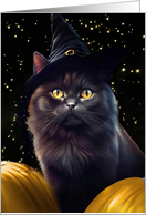 Teenager Happy Halloween Cute Black Cat and Witch Hat Pumpkins card