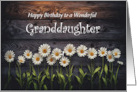 Granddaughter Happy Birthday with Pretty Daisy Flowers Country Custom card