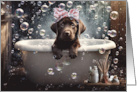 Birthday with Cute Chocolate Lab or Labrador Retriever Puppy in a Bath card