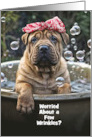 Birthday Cute Shar Pei Puppy Bubble Bath Funny Wrinkles Custom card