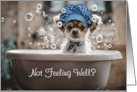 Get Well Feel Better Cute Chihuahua Puppy Dog in A Tub Custom Txt card