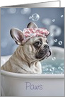Get Well Feel Better Cute Frenchie French Bull Dog Bubble Bath Custom card
