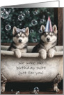 Happy Birthday from Us the Two of Us Cute Siberian Huskies Custom card