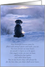 Pet Loss Sympathy Spiritual Loss of Dog General Pet Heaven Poem card