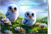 Congratulations on New Pet Chickens Chicks Cute card