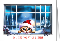 Christmas Missing...